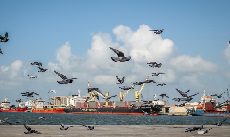 بينها الزيت والقمح.. ميناء دمياط يستقبل 31978 طنًا من البضائع