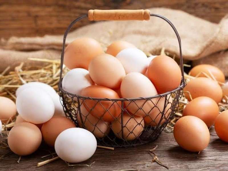 تراجع أسعار البيض اليوم الثلاثاء فى الأسواق المصرية