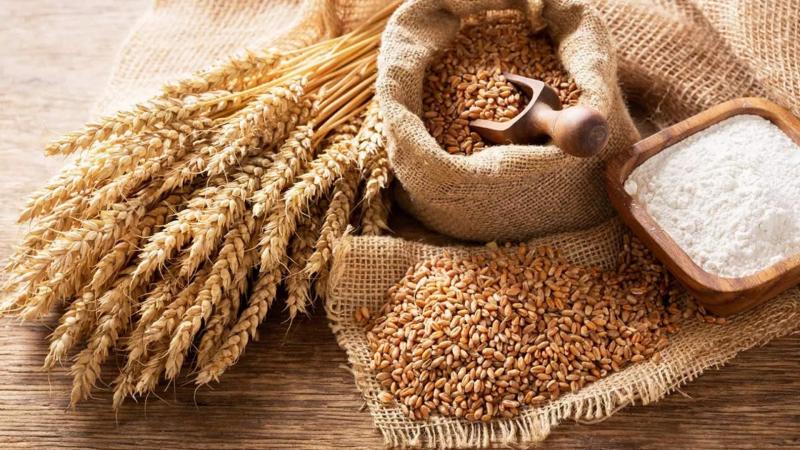 نيجيريا تستهدف زيادة إنتاجها من القمح