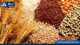 أوكرانيا ترفع توقعاتها لمحصول الحبوب خلال 2024 إلى 56 مليون طن