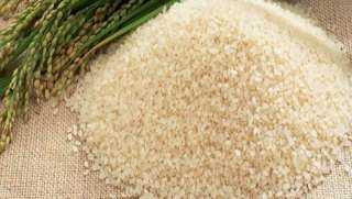 هبوط سعر الأرز الشعير اليوم الثلاثاء عند التاجر