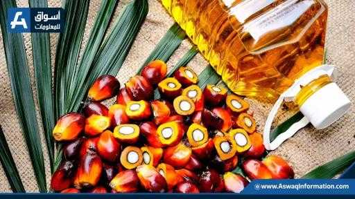 العقود الآجلة لزيت النخيل الماليزي ترتفع لأعلى مستوى في أسبوعين العقود الآجلة لزيت النخيل الماليزي ترتفع لأعلى مستوى في أسبوعين