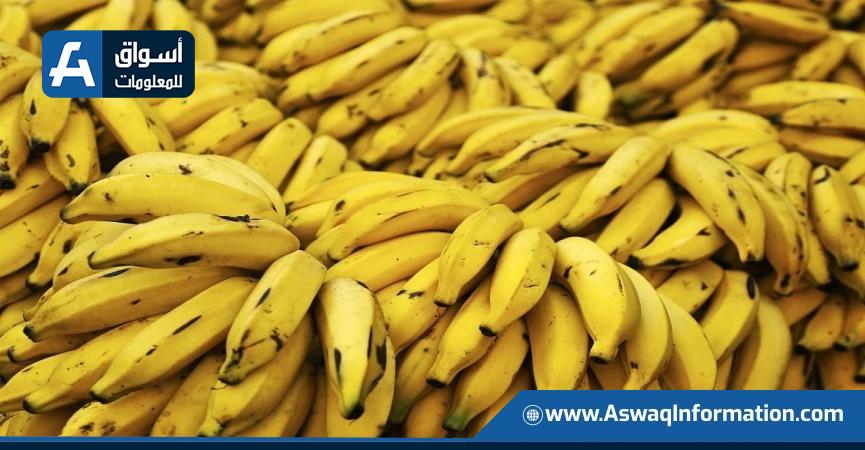 صادرات الموز