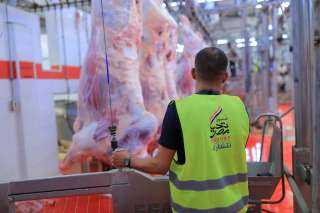 صندوق تحيا مصر يطلق مبادرة ”أضاحى” لتوزيع اللحوم على الأسر الأولى بالرعاية