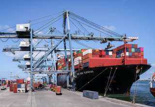 تضم ذرة وسكر.. ميناء دمياط يستقبل 59529 طنًا من البضائع