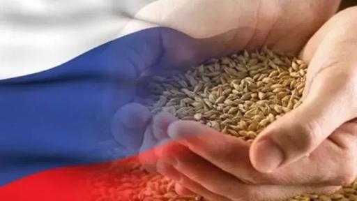 روسيا تتوقع محصولاً وفيراً في 2026 مع تحسن حالة 97% من المحاصيل... روسيا تتوقع محصولاً وفيراً في 2026 مع تحسن حالة 97% من المحاصيل الشتوية