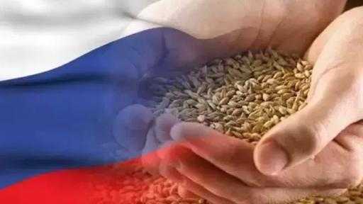 روسيا تفرض رسومًا على صادرات القمح وتعفي شحنات الشعير والذرة روسيا تفرض رسومًا على صادرات القمح وتعفي شحنات الشعير والذرة