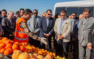 وزيرا الزراعة المصري والأردني يزوران مشروع مستقبل مصر بالدلتا الجديدة| صور