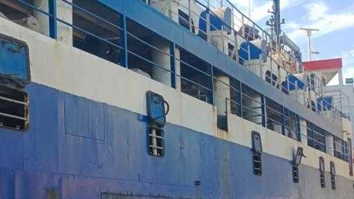 تصدير 1316 رأس عجول حية إلى لبنان عبر ميناء سفاجا تصدير 1316 رأس عجول حية إلى لبنان عبر ميناء سفاجا