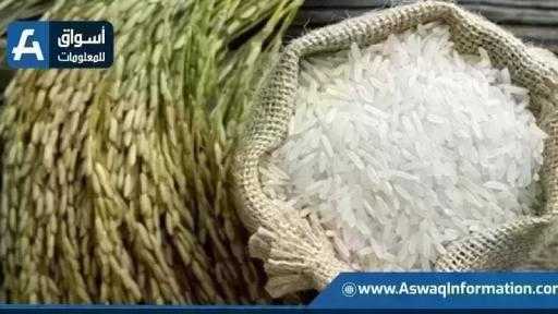 سعر الأرز اليوم الأحد عند التاجر.. بكام طن الشعير؟ سعر الأرز اليوم الأحد عند التاجر.. بكام طن الشعير؟