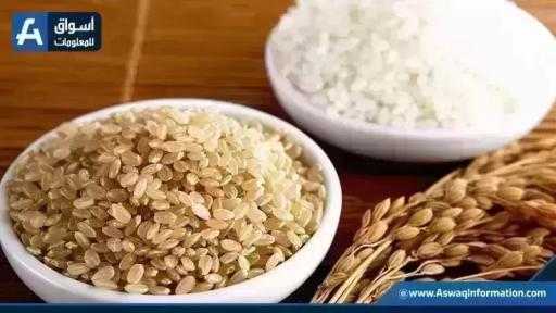 سعر طن الأرز الشعير اليوم الخميس عند التجار.. النهاردة بكام سعر طن الأرز الشعير اليوم الخميس عند التجار.. النهاردة بكام