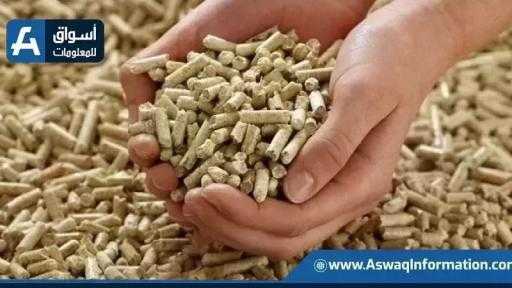 تواصل تراجع أسعار ذرة العلف في أوكرانيا تواصل تراجع أسعار ذرة العلف في أوكرانيا