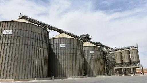 ”مستقبل مصر” يستعرض الأهداف الاستراتيجية لمجمع الصوامع وبنيته التكنولوجية| إنفوجراف ”مستقبل مصر” يستعرض الأهداف الاستراتيجية لمجمع الصوامع وبنيته التكنولوجية| إنفوجراف