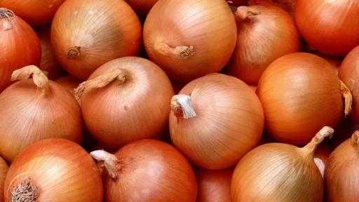 وزير الزراعة: فتح سوق الأوروجواي أما محصولي البصل والثوم وزير الزراعة: فتح سوق الأوروجواي أما محصولي البصل والثوم