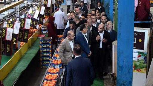 وزير الاستثمار: الحاصلات الزراعية عنصر رئيسي في استراتيجية الدولة لزيادة الصادرات وزير الاستثمار: الحاصلات الزراعية عنصر رئيسي في استراتيجية الدولة لزيادة الصادرات