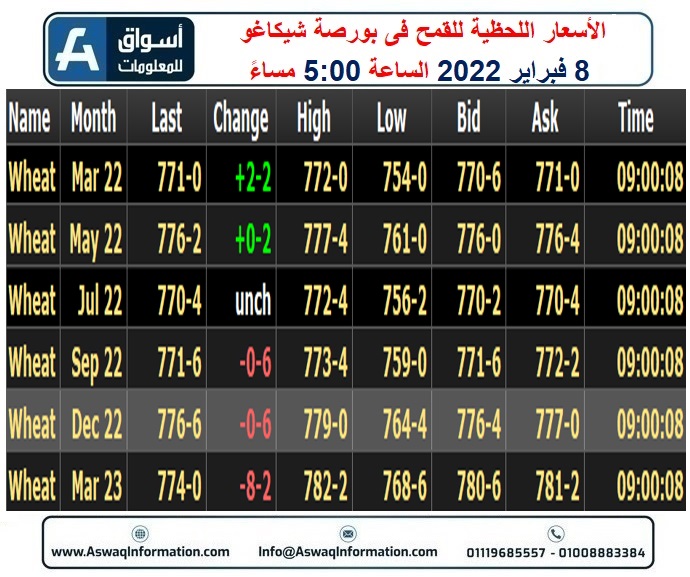 القمح 